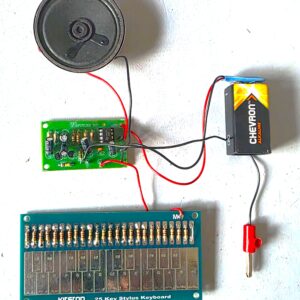 FK244-Aus Melody Organ (25 Tone) with mini keyboard